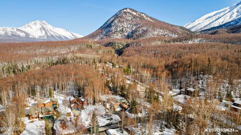 24505 Teal Loop, Chugiak, AK 99567 photo 25
