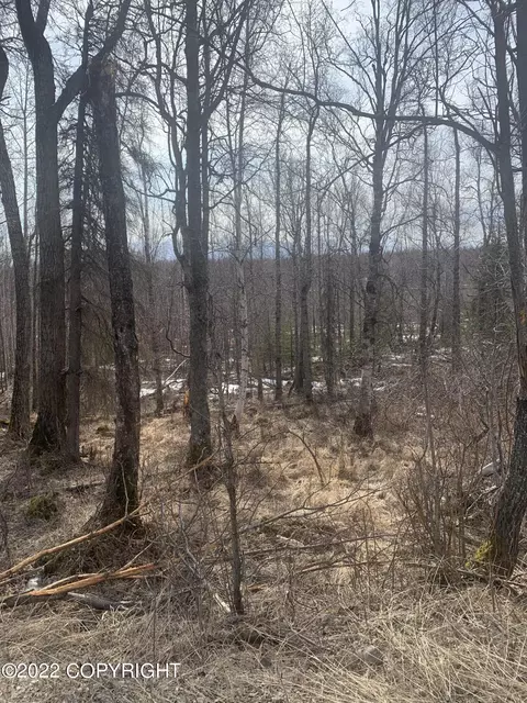 800 Adson Rd, Wasilla, AK 99654