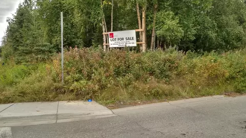 Tr E Debarr Road, Anchorage, AK 99504 photo 6