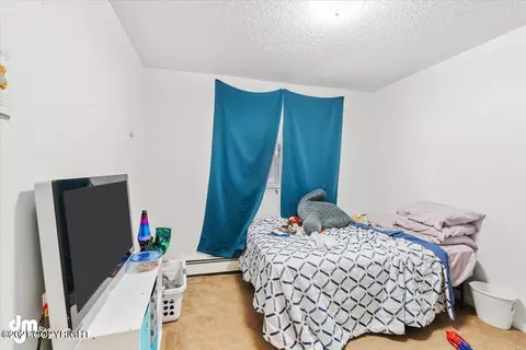 8630 E 10th Ave, Anchorage, AK 99504 photo 16