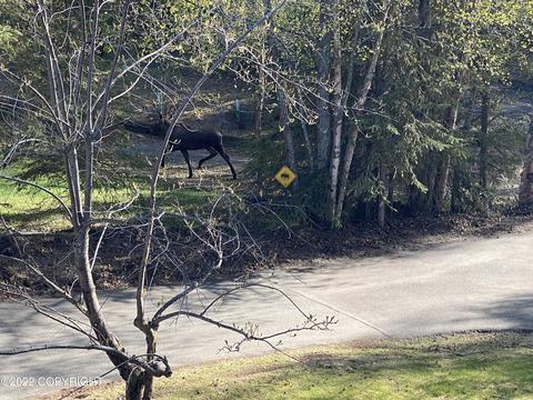 12931 Alpine Dr, Anchorage, AK 99516 photo 39