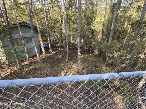 12931 Alpine Dr, Anchorage, AK 99516 photo 38