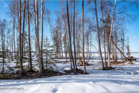 21533 Conley Ave, Chugiak, AK 99567 photo 16
