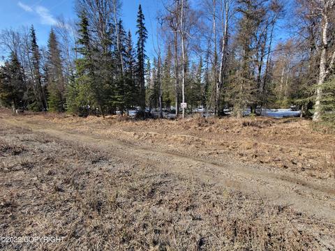 44769 Holt Lamplight Rd, Nikiskinorth Kenai, AK 99611