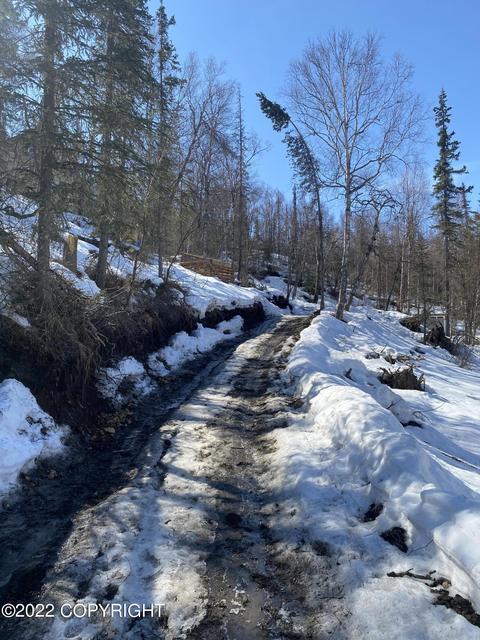 18200 Eska Mountain Way, Sutton, AK 99674 photo 20