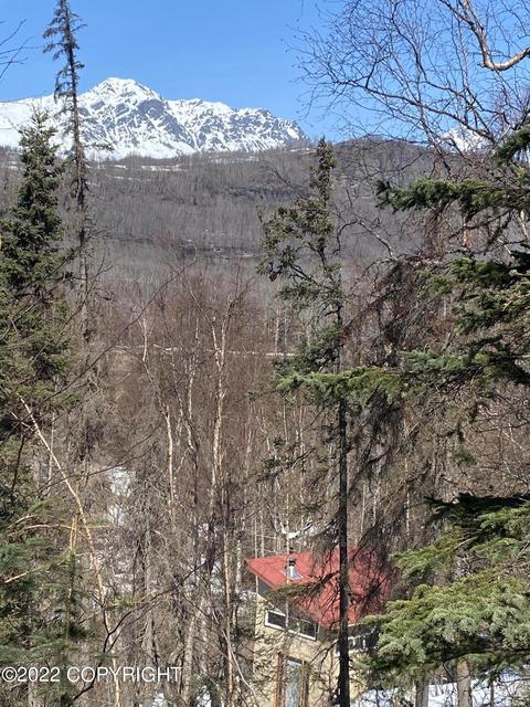 18200 Eska Mountain Way, Sutton, AK 99674 photo 17