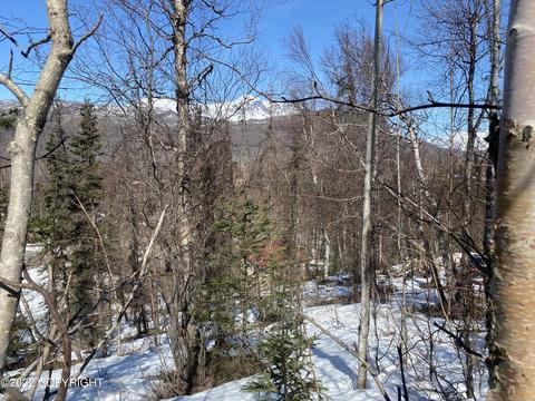 18200 Eska Mountain Way, Sutton, AK 99674 photo 13