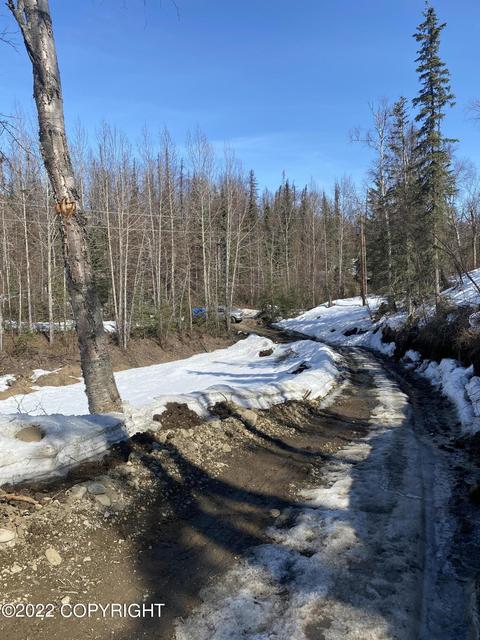 18200 Eska Mountain Way, Sutton, AK 99674 photo 22