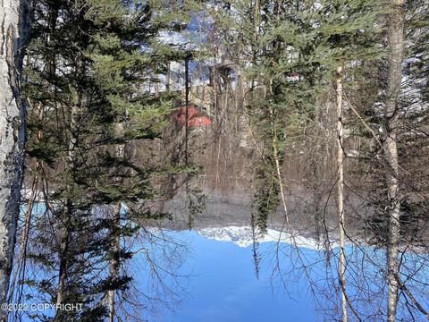 18200 Eska Mountain Way, Sutton, AK 99674 photo 19