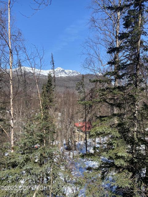 18200 Eska Mountain Way, Sutton, AK 99674 photo 18