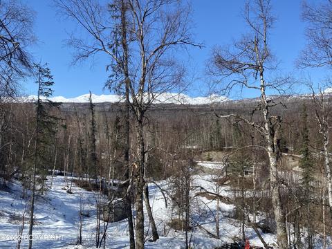 18200 Eska Mountain Way, Sutton, AK 99674 photo 9