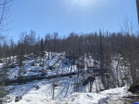 18200 Eska Mountain Way, Sutton, AK 99674 photo 15