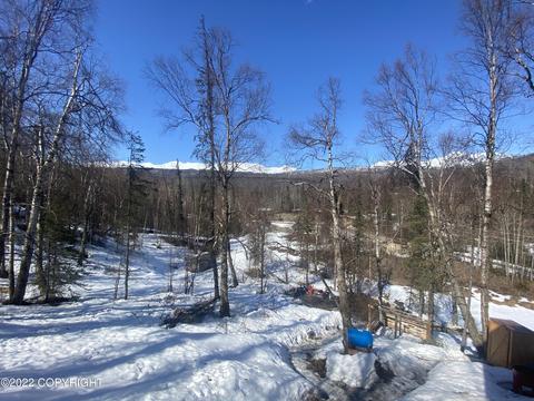18200 Eska Mountain Way, Sutton, AK 99674 photo 10