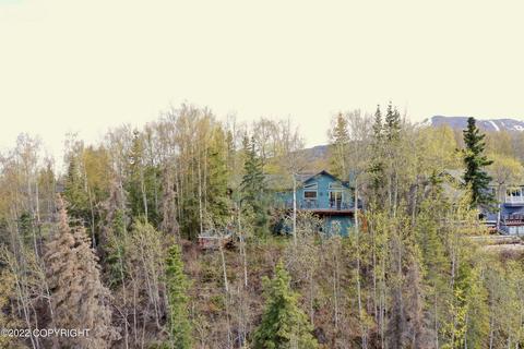 9824 Saaya Cir, Eagle River, AK 99577 photo 58