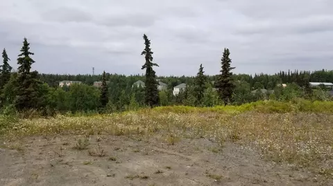 5501 E 97th Ave, Anchorage, AK 99507 photo 3
