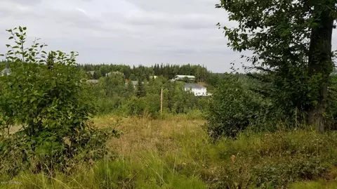 5501 E 97th Ave, Anchorage, AK 99507 photo 4