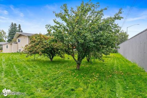 1000 E 28th Ave, Anchorage, AK 99508 photo 48