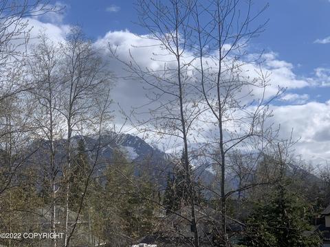 8719 Lassen St, Eagle River, AK 99577 photo 22