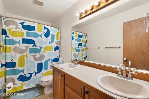 18535 Walrus Cir, Eagle River, AK 99577 photo 20