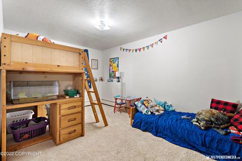 18535 Walrus Cir, Eagle River, AK 99577 photo 18
