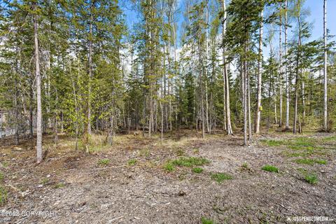 18139 Muldrow St, Eagle River, AK 99577 photo 39