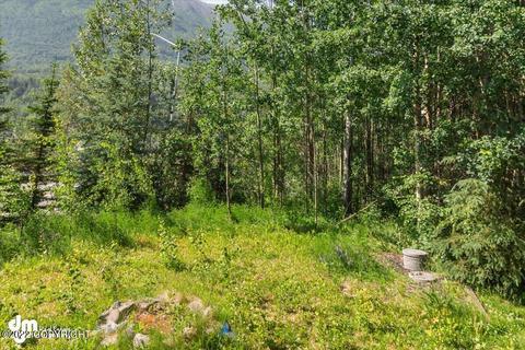 20332 Glacier Park Cir, Eagle River, AK 99577 photo 36