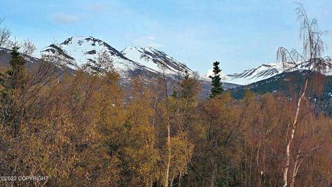 12900 Patrick Rd, Anchorage, AK 99516 photo 2