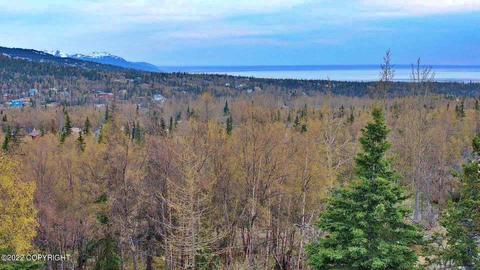 12900 Patrick Rd, Anchorage, AK 99516 photo 4