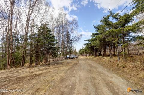 12900 Patrick Rd, Anchorage, AK 99516 photo 9