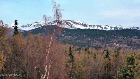 12900 Patrick Rd, Anchorage, AK 99516 photo 5
