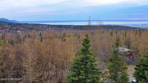 12900 Patrick Rd, Anchorage, AK 99516 photo 3