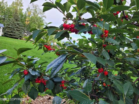 3811 E Serendipity Loop, Wasilla, AK 99654 photo 42