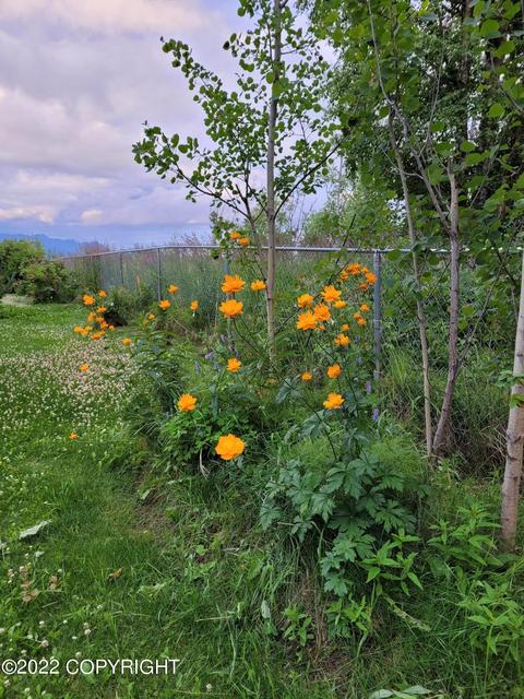 3811 E Serendipity Loop, Wasilla, AK 99654 photo 44