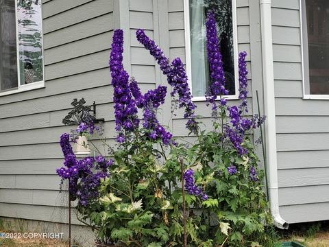 3811 E Serendipity Loop, Wasilla, AK 99654 photo 43