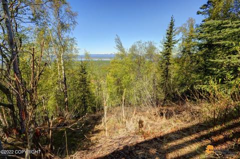 23833 Mountain Cir, Chugiak, AK 99567 photo 54
