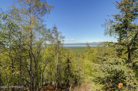 23833 Mountain Cir, Chugiak, AK 99567 photo 13