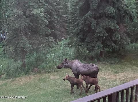 25928 Imperial Dr, Eagle River, AK 99577 photo 64