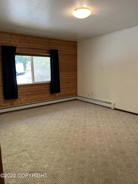 23434 Lower Terrace St, Eagle River, AK 99577 photo 25