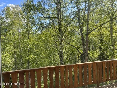 23434 Lower Terrace St, Eagle River, AK 99577 photo 63