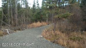L5a B2v Jamie Avenue, Anchorage, AK 99516