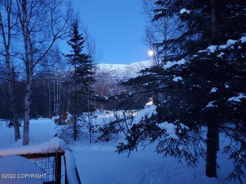 17838 Almdale Ave, Eagle River, AK 99577 photo 60
