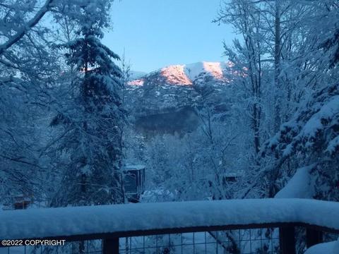 17838 Almdale Ave, Eagle River, AK 99577 photo 57