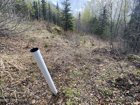 27141 Roop Rd, Eagle River, AK 99577 photo 49