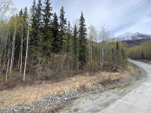 27141 Roop Rd, Eagle River, AK 99577 photo 8