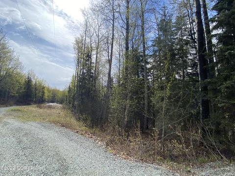 27141 Roop Rd, Eagle River, AK 99577 photo 61