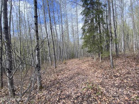 27141 Roop Rd, Eagle River, AK 99577 photo 39