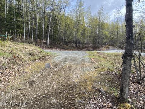 27141 Roop Rd, Eagle River, AK 99577 photo 19