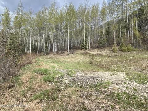 27141 Roop Rd, Eagle River, AK 99577 photo 22