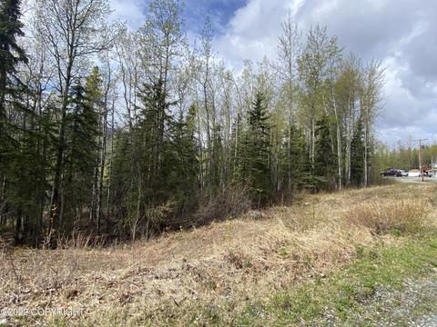 27141 Roop Rd, Eagle River, AK 99577 photo 12