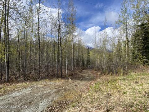 27141 Roop Rd, Eagle River, AK 99577 photo 59